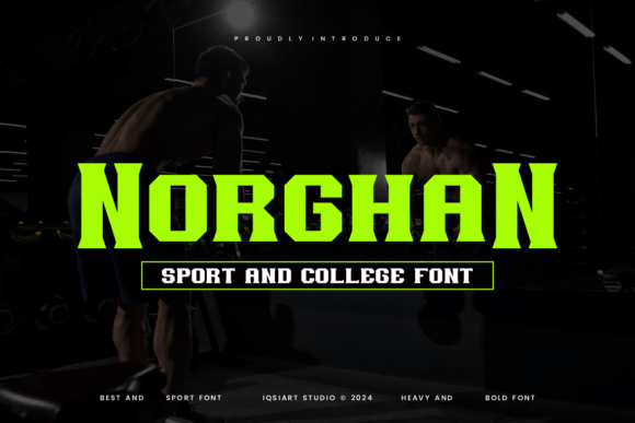 Norghan: A Timeless Serif Font